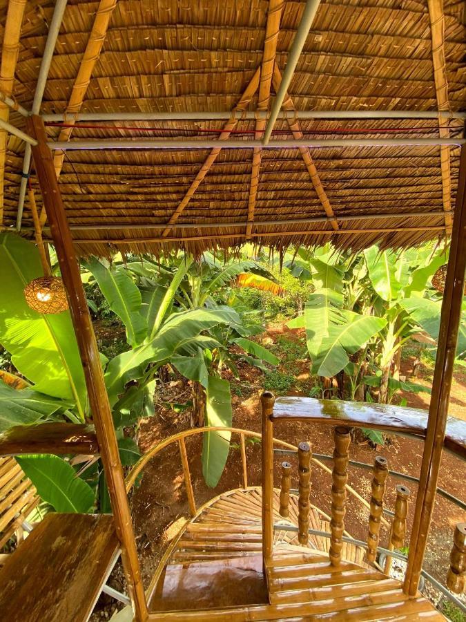 Adorable Dome House Villa Puerto Princesa ภายนอก รูปภาพ